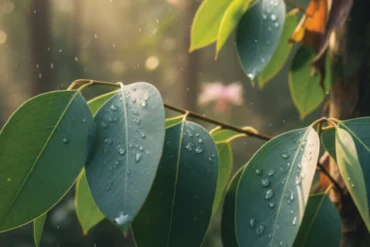 Feltöltő és tisztító kúra Magnézium-kloriddal